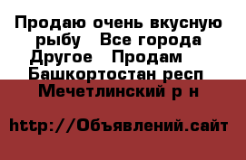 Продаю очень вкусную рыбу - Все города Другое » Продам   . Башкортостан респ.,Мечетлинский р-н